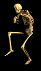 skeleton-4